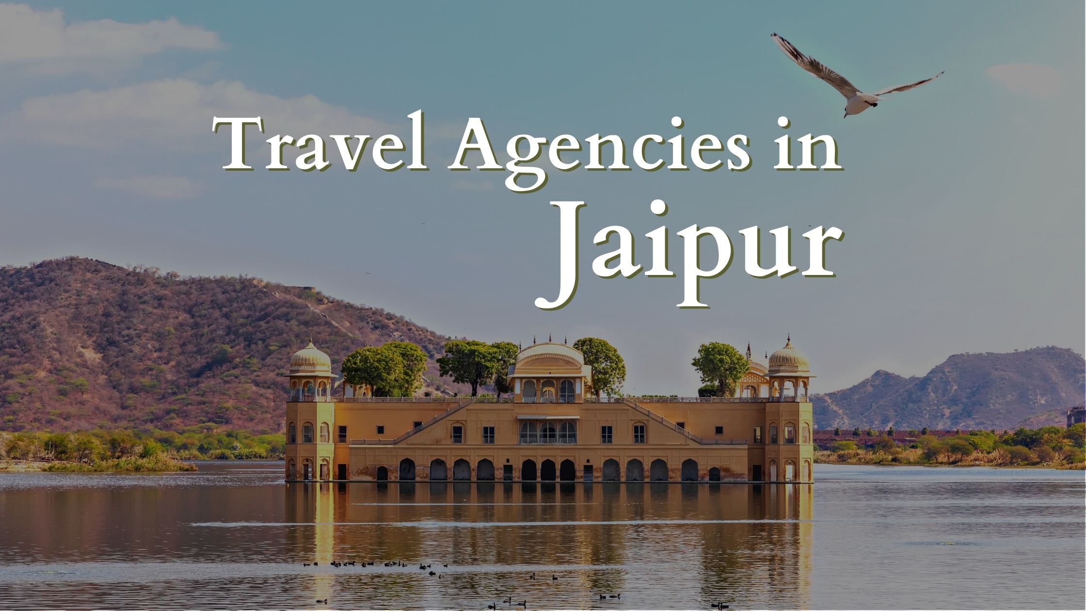 travel agencies jaipur