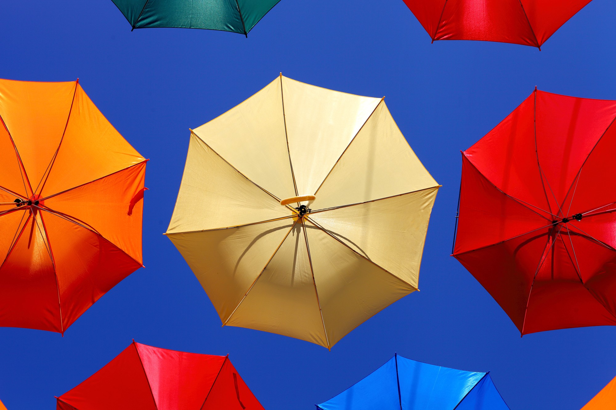 Best Umbrella Brands