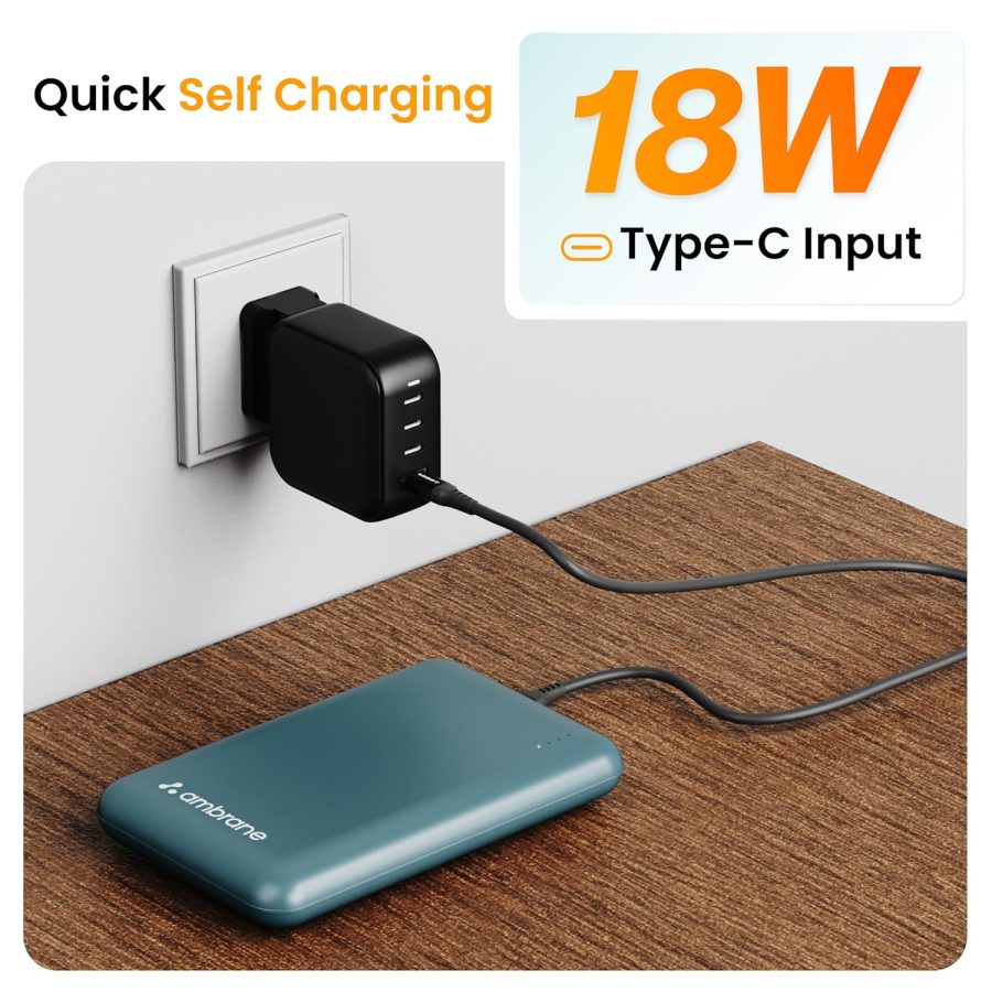 Portable Chargers