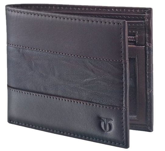 TITAN Brown Men Wallet