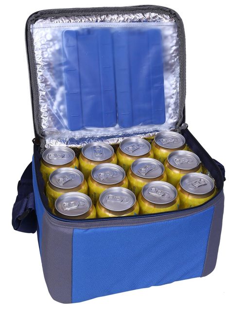 Travel Cooler Bag